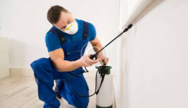 Φάκελος απεντόμωσης ΕΦΕΤ